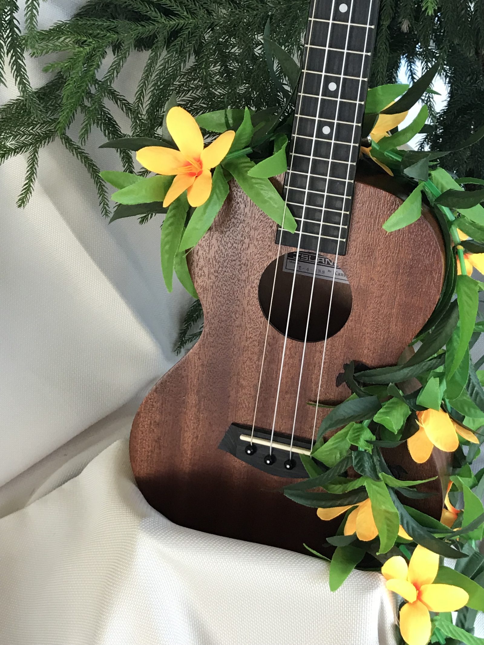 Our Classes Ukulele Players Club