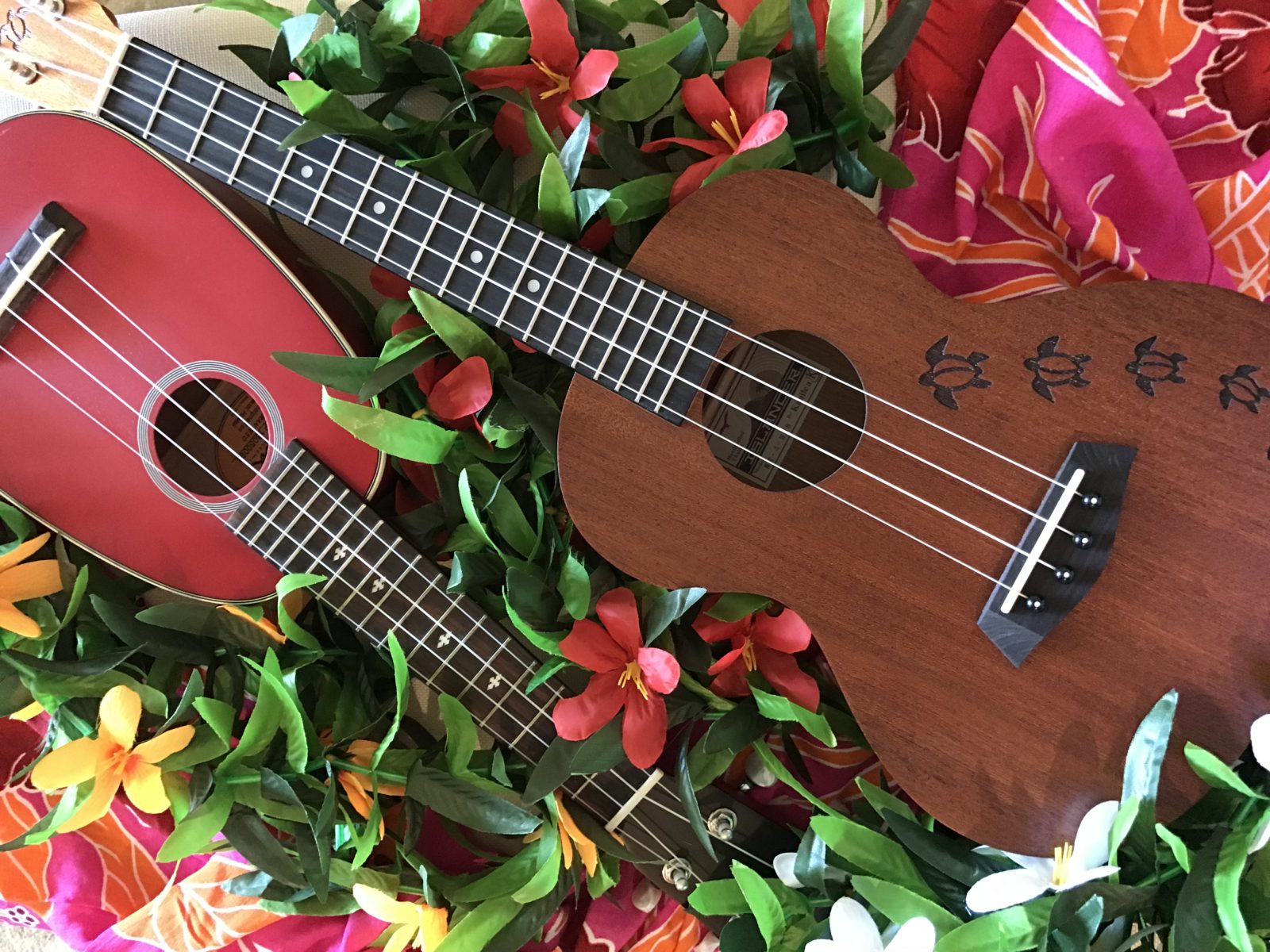 FAQ – Ukulele Players Club